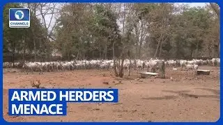 Tension In UNIAGRIC Makurdi Over Influx Of Armed Herdsmen