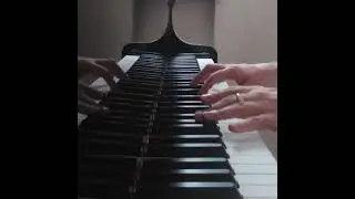 SCHUBERT - Waltz D 365, Op.9 No. 2 (Trauerwaltzer) ● Fabio Mengozzi (piano)