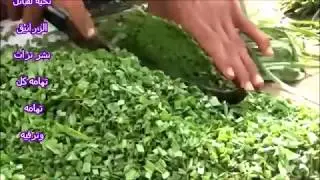 اسواق تهامية سوق الحسينية الاسبوعي ومناظر من السوق وأرياف الحديدة تهامة اليمن