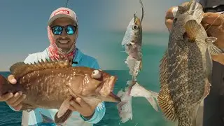 Welcome to our latest fishing adventure in Loreto Baja California Sur Mexico! 🇲🇽