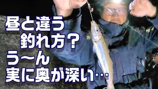 越冬前のキスを夜釣りで狙ってみた！　【魚神の釣りいかれへんわ】