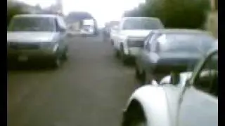 EKOLOCO EMPESANDO APISTIAR