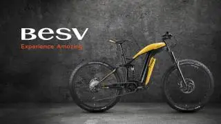 BESV TRB1 - Move Like a Tiger