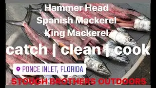 Catch Clean Cook | Hammer Head | Ponce Inlet | King Mackerel | Spanish Mackerel