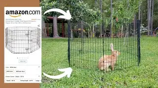 Pawsome Playtime: Putting the Foldable Metal Pen for Dogs to the Test! (Real Life Review)