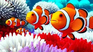 FX Deepsea Serenity 4K &ndash; Gentle Sea Flow & Coral Glow to Soothe Mind and Soul 🐠💫