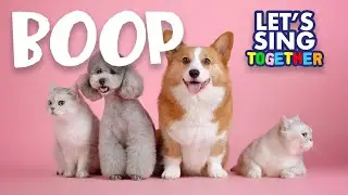 BOOP (the song) - cute nose BOOP compilation