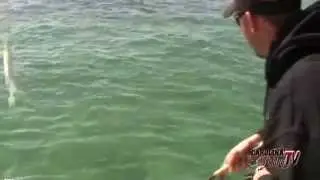 Carolina Fishing TV - Season 3/16 - Cape Lookout Reds