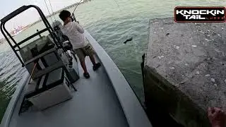 Sheepshead Fishing From a Bridge PYLON Covered in Barnacles!