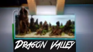 How to aquascape with Dragon Stones (Ohko Rocks) Step by Step Tutorial - Aquascaping a 60cm aquarium