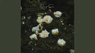 Quiet Space (Instrumental)