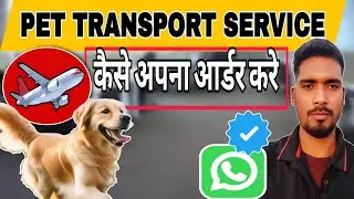 Pet Transport | Ghar Baithe Apna Dog Safe Travel Karao | Order Kaise Dein Abhishek Dog Transport