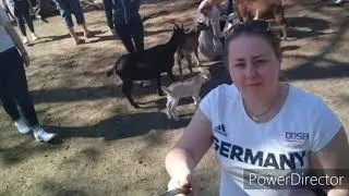 Влог шестой. Serengeti Park Sommer2018.
