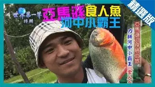 《世界第一等》536集【亞馬遜河】力拼河中小霸王 食人魚｜精選版