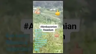 AMBA BOYS LIVE IN ACTION WAR WITH SODIER