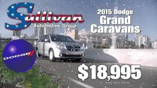 Sullivan Automotive Group - See Red Save Green