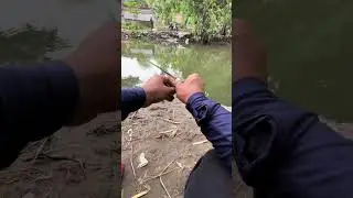 mancing dikali mruwe jogja #mancing #tegekmentul #tegekmelengkung #mancingmaniajogjakarta