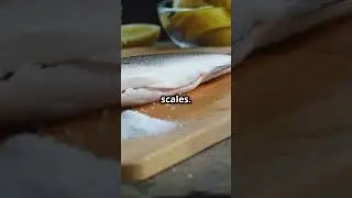 Sun & Salt: Reviving Ancient Fish Drying Techniques