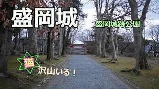 【盛岡城】天守閣は無いが地形で見えてくる盛岡城跡公園 のほほん散歩 #100