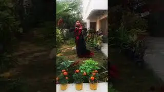 choti si asha #trending #dance #viraldance #omiedancestudio