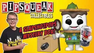 A Mystery Box from Slapshotpops and some Pops and a Soda we had to have for the collection!