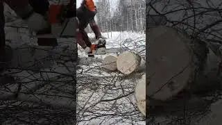 Моя любимая пила для распиловки - Stihl ms 361 Зверюга!!