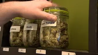 Pot permits announced in Saskatchewan