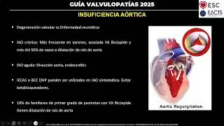 GUIA ESC 2025 VALVULOPATIAS - I