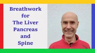 Breathwork for the Liver, Pancreas, and Spine.