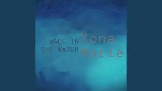Wade In The Water