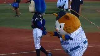 2012 9/11 試合前 ドアラさんの尻尾に興味深々のスターマン