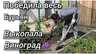 УБОРКА УЧАСТКА🐝/ДВОР ЗАИГРАЛ НОВЫМИ КРАСКАМИ.🏡#рекомендації #життявселі #переселенці #купилидом 