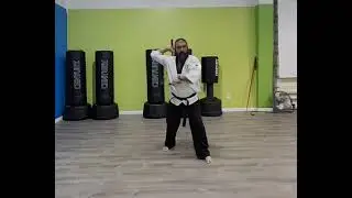Double Dragons Nunchaku Form