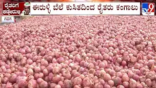 Karnataka Farmers In Distress After Onion Price Steeply Drops | TV9 Ground Report