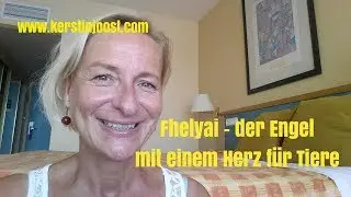 Erzengel Fhelyai hilft den Tieren