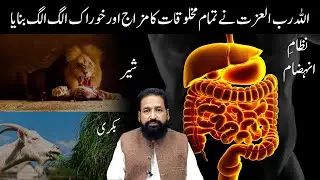Allah ne Har Makhlooq ka Mizaaj Alag Banaya | Digestive System 
