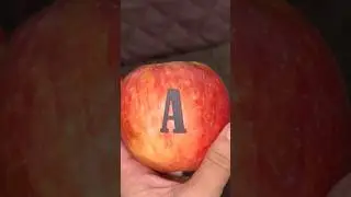 ABC Alphabet letters scavenger hunt game A to Z | Learn ABC with Alphabet search game. #shorts