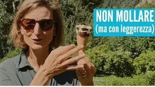 perseverare - - non mollare (ma con leggerezza)