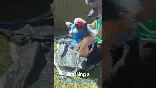 Washing a Stinky Fursuit... in fursuit!