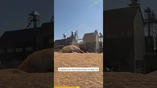 Зерновые рекорды в Казахстане