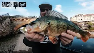 Einmal alles bitte!? Dicke Barsche, Zander, Rapfen, Hecht und Wels beim Streetfishing in Metz