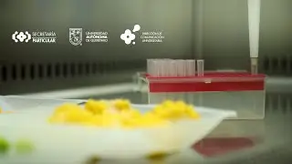 LECRIMA UAQ/Laboratorio de Inocuidad