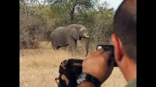 Parc National de Zakouma, Chad I