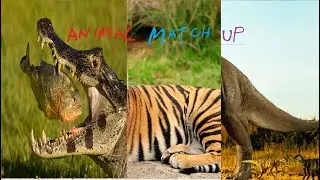 Animal Match Up Game - Fun Educational Baby - GAMEKIDS HD