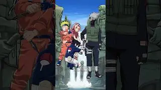 Team 7 & Their Sensei From Kids to Adults!