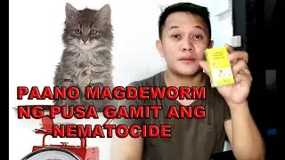 PAANO MAGDEWORM NG PUSA GAMIT ANG NEMATOCIDE?