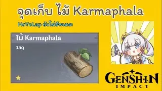 Genshin Impact | จุดเก็บไม้ Karmaphala