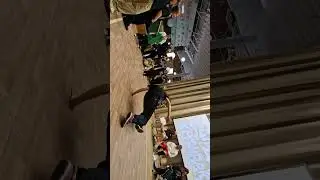 hot tribe vs D. vision vs hypespin