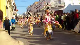 Los Tukanes en el desfile carnaval 2012