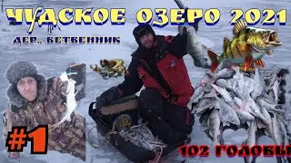 Зимняя Рыбалка на Чудском озере Peipsi Lake 2021/этот Балансир как косилка косит ОКУНЯ/ПЕРВЫЙ ВЫЕЗД